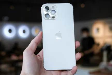 BlueFox Casino App Mobile